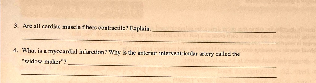 Are all cardiac muscle fibers contractile? Explain. What is a