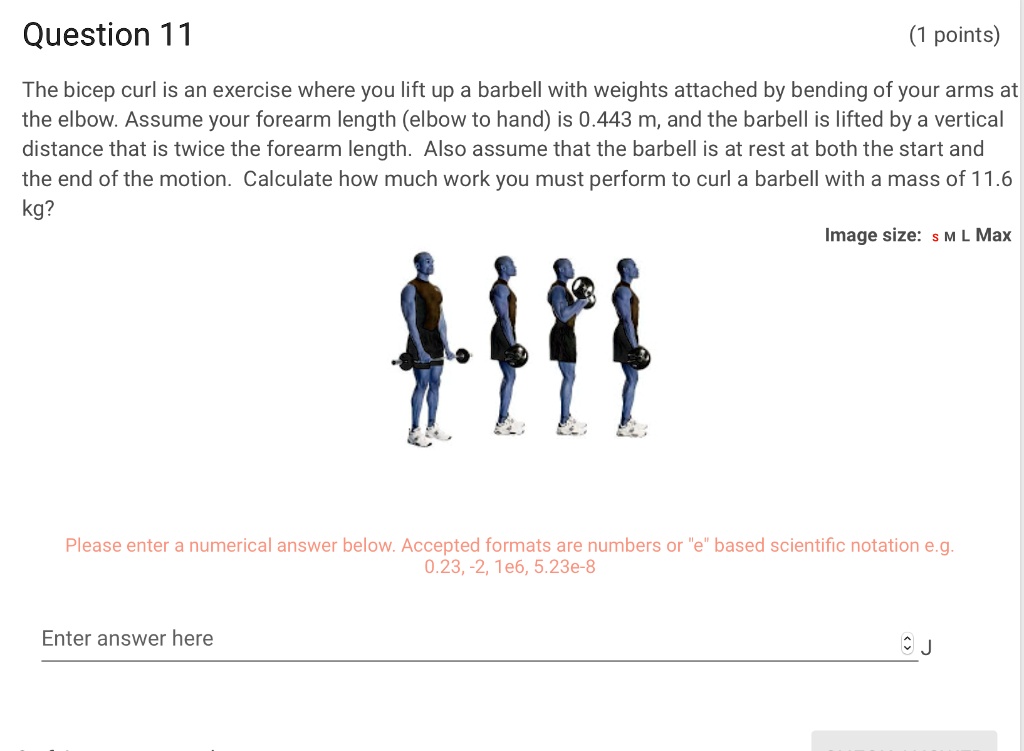 SOLVED Question 11 points) The bicep curl is an exercise where you