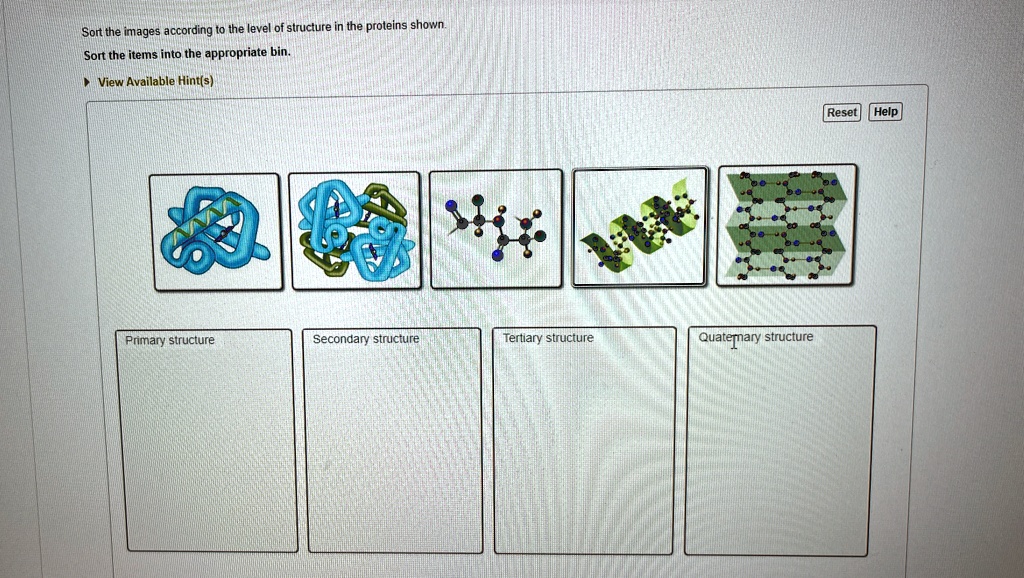 Sort The Images According To The Level Of Structure In The Proteins Shown.