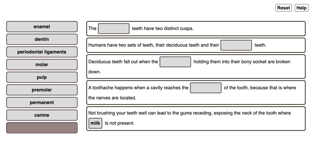 enamel
dentin
periodontal ligaments
molar
pulp
premolar
permanent
canine
The teeth have two distinct cusps.
Humans have two sets of teeth, their deciduous teeth and their teeth.
Deciduous teeth fall out when the holding them into their bony socket are broken down.
A toothache happens when a cavity reaches the of the tooth, because that is where the nerves are located.
Not brushing your teeth well can lead to the gums receding, exposing the neck of the tooth where milk is not present.