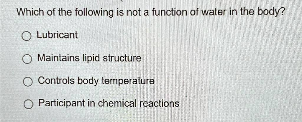 how does water act as a lubricant in the body K-Y Jelly Water-Based Lubricant main image 1