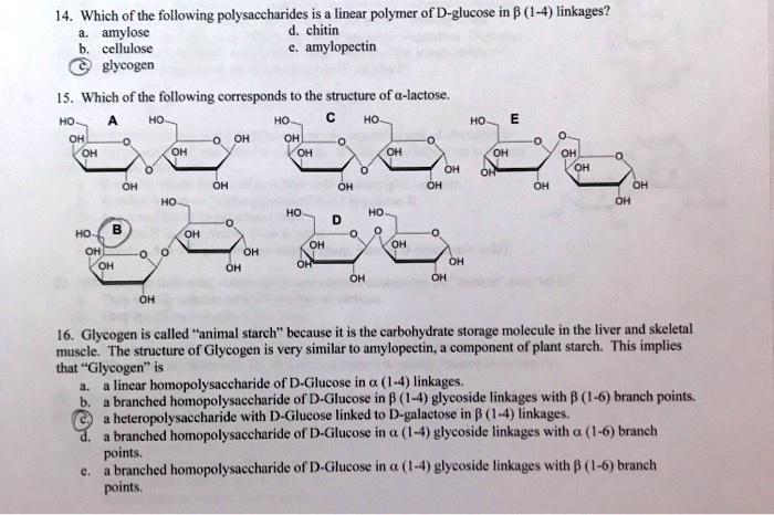 SOLVED: Which = of the following polysaccharides is linear polymer of  D-glucose in B (1-4) linkages? amylose chitin cellulose amylopectin  glycogen Which of the following corresponds the structure of a-lactose,  Glycogen called 