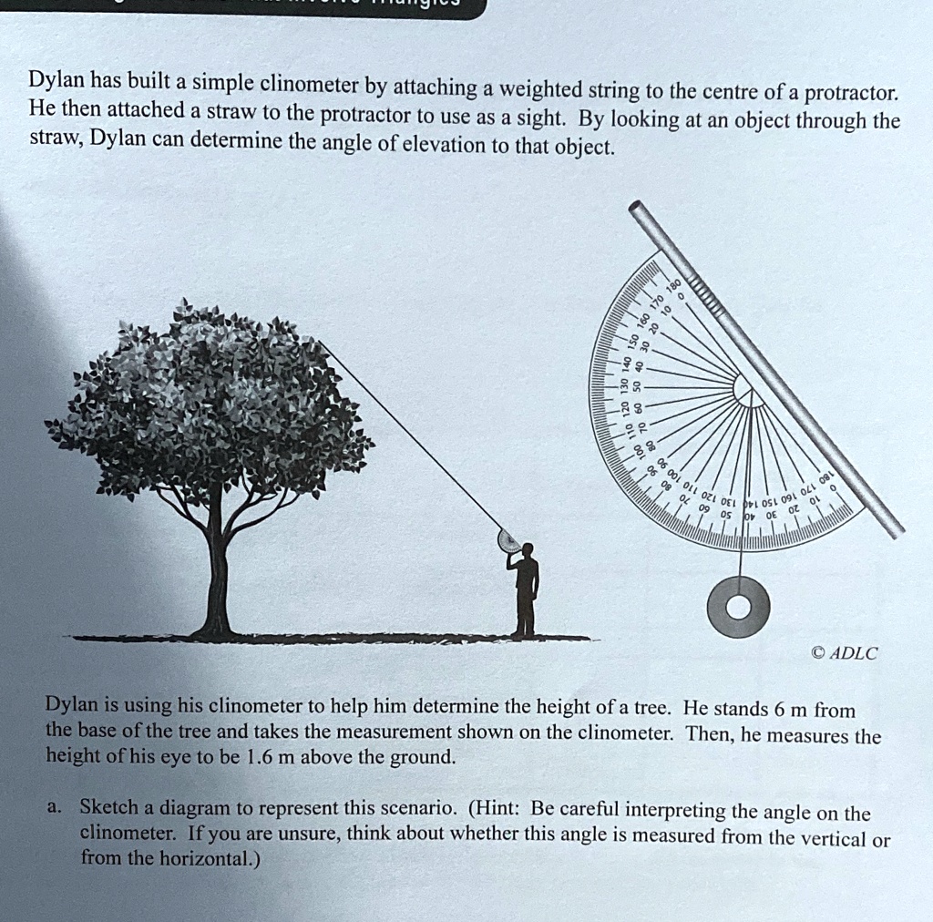 solved-b-determine-the-height-of-the-tree-to-the-nearest-tenth-of-a