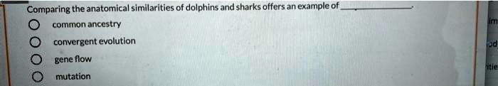 SOLVED: Comparing the anatomical similarities of dolphins and sharks ...