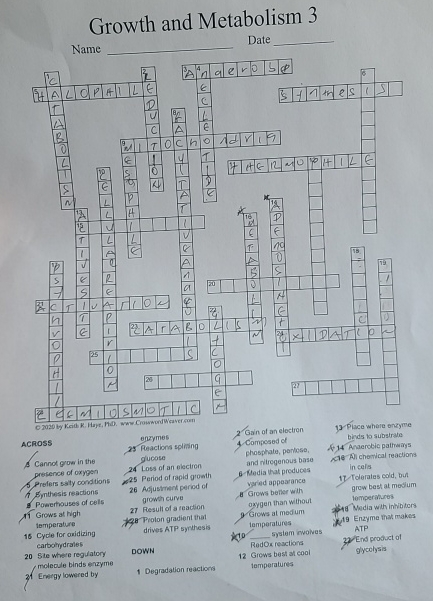 SOLVED: Growth and Metabolism 3 Date Name Across enzymes 2 Gain of an ...