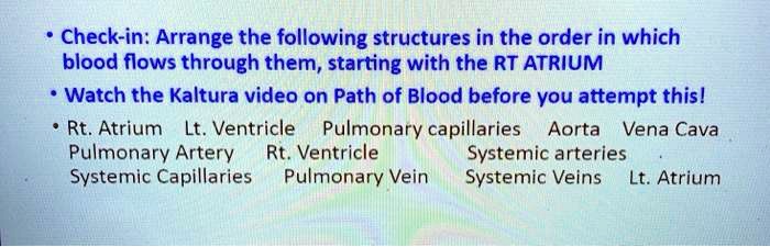 • Check-in: Arrange the following structures in the order in which
blood flows through them, starting with the RT ATRIUM
• Watch the Kaltura video on Path of Blood before you attempt this!
• Rt. Atrium Lt. Ventricle Pulmonary capillaries Aorta Vena Cava
Pulmonary Artery Rt. Ventricle Systemic arteries
Systemic Capillaries Pulmonary Vein Systemic Veins Lt. Atrium