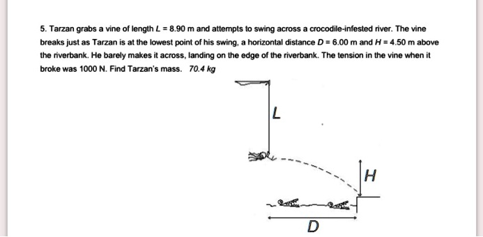 Solved Tarzan Grabs Vine Of Length 890 M And Attempts T0 Swing Across