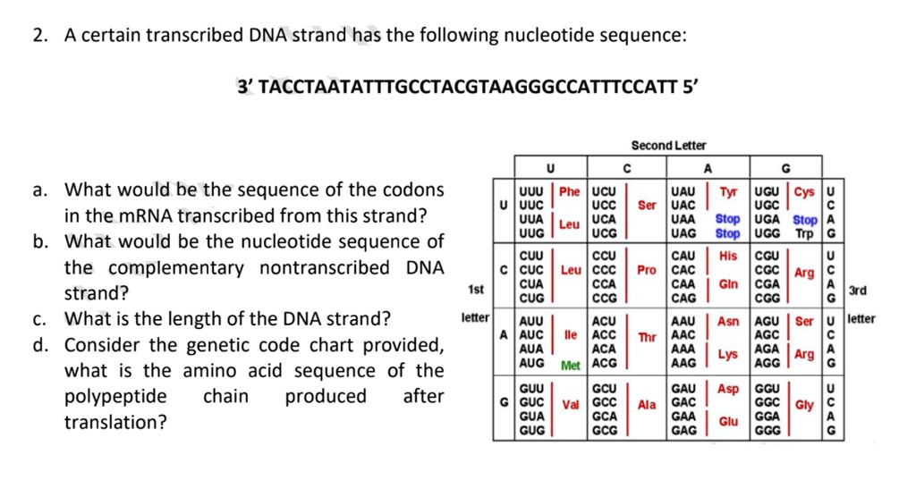 SOLVED: A certain transcribed DNA strand has the following nucleotide ...