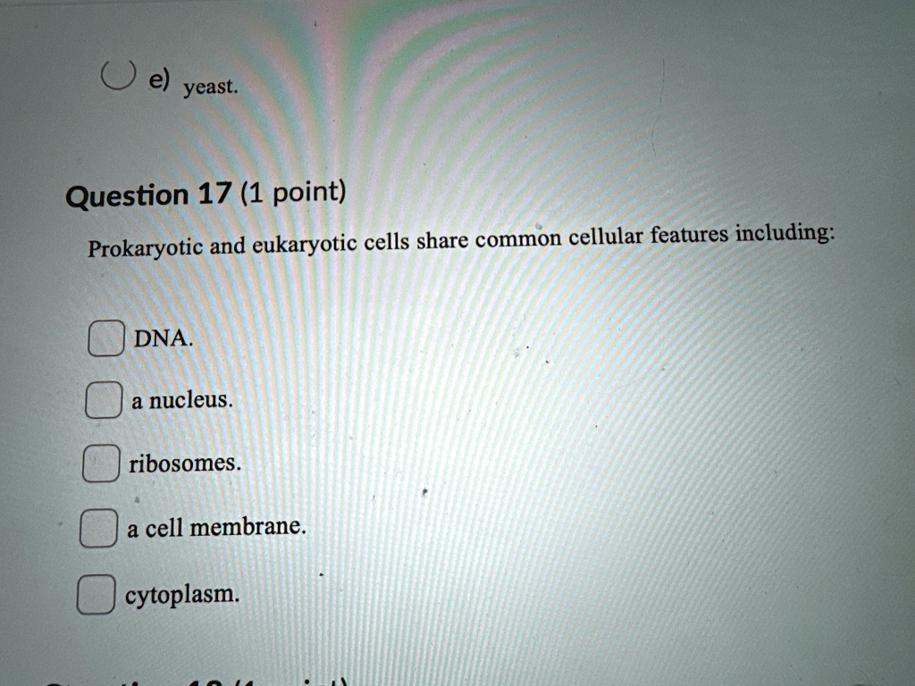 SOLVED Question 17 (1 point) Prokaryotic and eukaryotic cells share