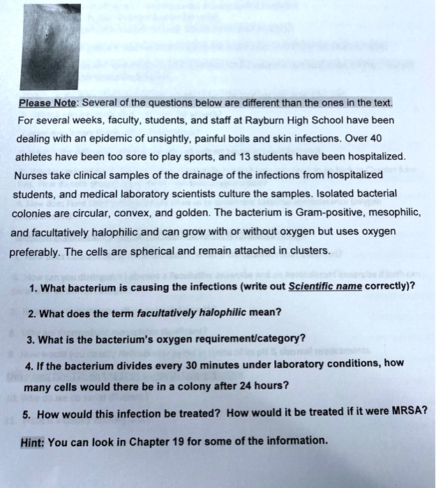 Please Note: Several of the questions below are different than the ones in the text.
For several weeks, faculty, students, and staff at Rayburn High School have been dealing with an epidemic of unsightly, painful boils and skin infections. Over 40 athletes have been too sore to play sports, and 13 students have been hospitalized. Nurses take clinical samples of the drainage of the infections from hospitalized students, and medical laboratory scientists culture the samples. Isolated bacterial colonies are circular, convex, and golden. The bacterium is Gram-positive, mesophilic, and facultatively halophilic and can grow with or without oxygen but uses oxygen preferably. The cells are spherical and remain attached in clusters.

1. What bacterium is causing the infections (write out Scientific name correctly)?
2. What does the term facultatively halophilic mean?
3. What is the bacterium's oxygen requirement/category?
4. If the bacterium divides every 30 minutes under laboratory conditions, how many cells would there be in a colony after 24 hours?
5. How would this infection be treated? How would it be treated if it were MRSA?
Hint: You can look in Chapter 19 for some of the information.