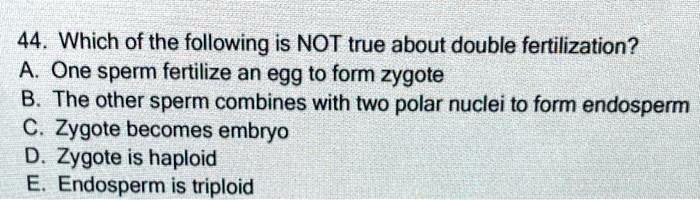 44. Which of the following is NOT true about double fertilization?
A. One sperm fertilize an egg to form zygote
B. The other sperm combines with two polar nuclei to form endosperm
C. Zygote becomes embryo
D. Zygote is haploid
E. Endosperm is triploid