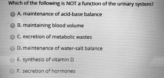 Which of the following is NOT a function of the urinary system?
A. maintenance of acid-base balance
B. maintaining blood volume
C. excretion of metabolic wastes
D. maintenance of water-salt balance
E. synthesis of vitamin D
F. secretion of hormones