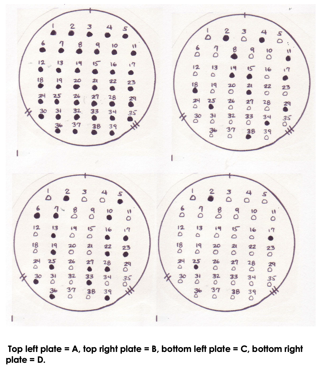 Top left plate = A, top right plate = B, bottom left plate = C, bottom right plate = D.