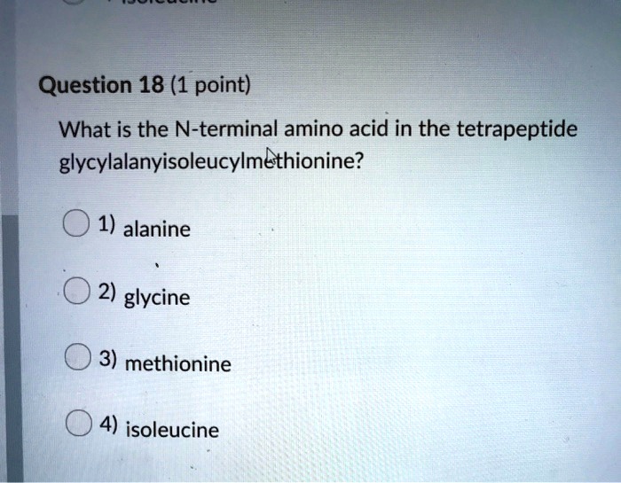 What Is The N Terminal Amino Acid