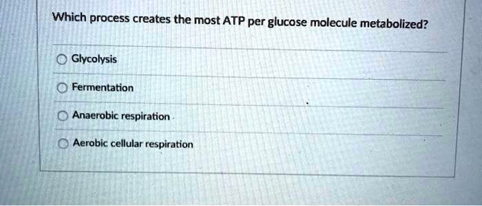 Solved:which Process Creates The Most Atp Per Glucose Molecule Metabolized?  Glycolysis Fermentation Anaerobic Respiration Aerobic Cellular Respiration Solved:which Process Creates The Most Atp Per Glucose Molecule Metabolized?  Glycolysis Fermentation Anaerobic Respiration Aerobic Cellular Respiration