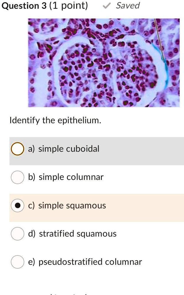 SOLVED 'Which of the following would require an input of energy