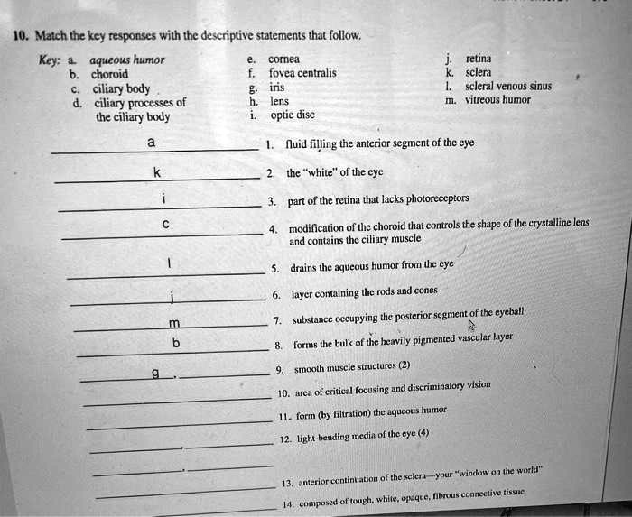 10. Match the key responses with the descriptive statements that follow.
Key: a. aqueous humor
b. choroid
c. ciliary body
d. ciliary processes of the ciliary body
e. cornea
f. fovea centralis
g. iris
h. lens
i. optic disc
j. retina
k. sclera
l. scleral venous sinus
m. vitreous humor

a 1. fluid filling the anterior segment of the eye
k 2. the "white" of the eye
i 3. part of the retina that lacks photoreceptors
c 4. modification of the choroid that controls the shape of the crystalline lens and contains the ciliary muscle
l 5. drains the aqueous humor from the eye
j 6. layer containing the rods and cones
m 7. substance occupying the posterior segment of the eyeball
b 8. forms the bulk of the heavily pigmented vascular layer
g 9. smooth muscle structures (2)
10. area of critical focusing and discriminatory vision
11. form (by filtration) the aqueous humor
12. light-bending media of the eye (4)
13. anterior continuation of the sclera-your "window on the world"
14. composed of tough, white, opaque, fibrous connective tissue