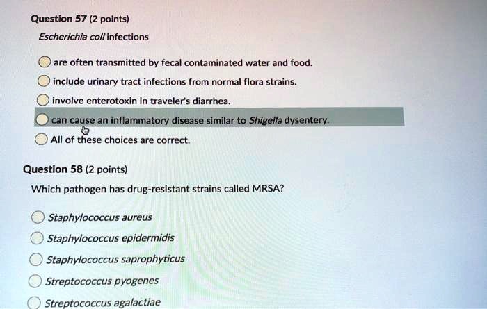 Question 57 (2 points)
Escherichia coli infections
are often transmitted by fecal contaminated water and food.
include urinary tract infections from normal flora strains.
involve enterotoxin in traveler's diarrhea.
can cause an inflammatory disease similar to Shigella dysentery.
All of these choices are correct.
Question 58 (2 points)
Which pathogen has drug-resistant strains called MRSA?
Staphylococcus aureus
Staphylococcus epidermidis
Staphylococcus saprophyticus
Streptococcus pyogenes
Streptococcus agalactiae