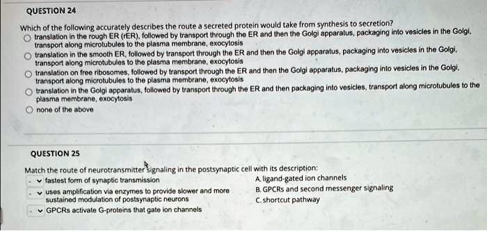 QUESTION 24
Which of the following accurately describes the route a secreted protein would take from synthesis to secretion?
translation in the rough ER (rER), followed by transport through the ER and then the Golgi apparatus, packaging into vesicles in the Golgi, transport along microtubules to the plasma membrane, exocytosis
translation in the smooth ER, followed by transport through the ER and then the Golgi apparatus, packaging into vesicles in the Golgi, transport along microtubules to the plasma membrane, exocytosis
translation on free ribosomes, followed by transport through the ER and then the Golgi apparatus, packaging into vesicles in the Golgi, transport along microtubules to the plasma membrane, exocytosis
translation in the Golgi apparatus, followed by transport through the ER and then packaging into vesicles, transport along microtubules to the plasma membrane, exocytosis
none of the above
QUESTION 25
Match the route of neurotransmitter signaling in the postsynaptic cell with its description:
fastest form of synaptic transmission
uses amplification via enzymes to provide slower and more sustained modulation of postsynaptic neurons
GPCRs activate G-proteins that gate ion channels
A. ligand-gated ion channels
B. GPCRs and second messenger signaling
C. shortcut pathway