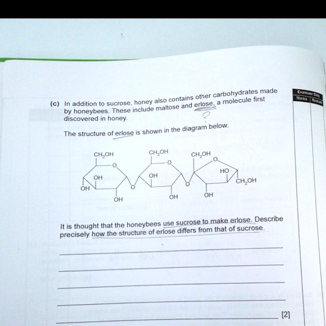 SOLVED Describe how the structure of sucrose differs from that of