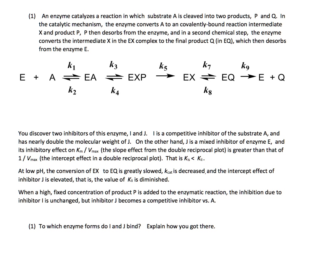 1 an enzyme catalyzes a reaction in which substrate a is...