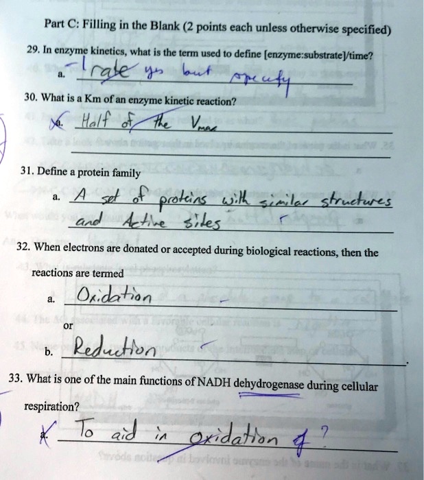 SOLVED Part C Filling in the Blank (2 points each unless otherwise