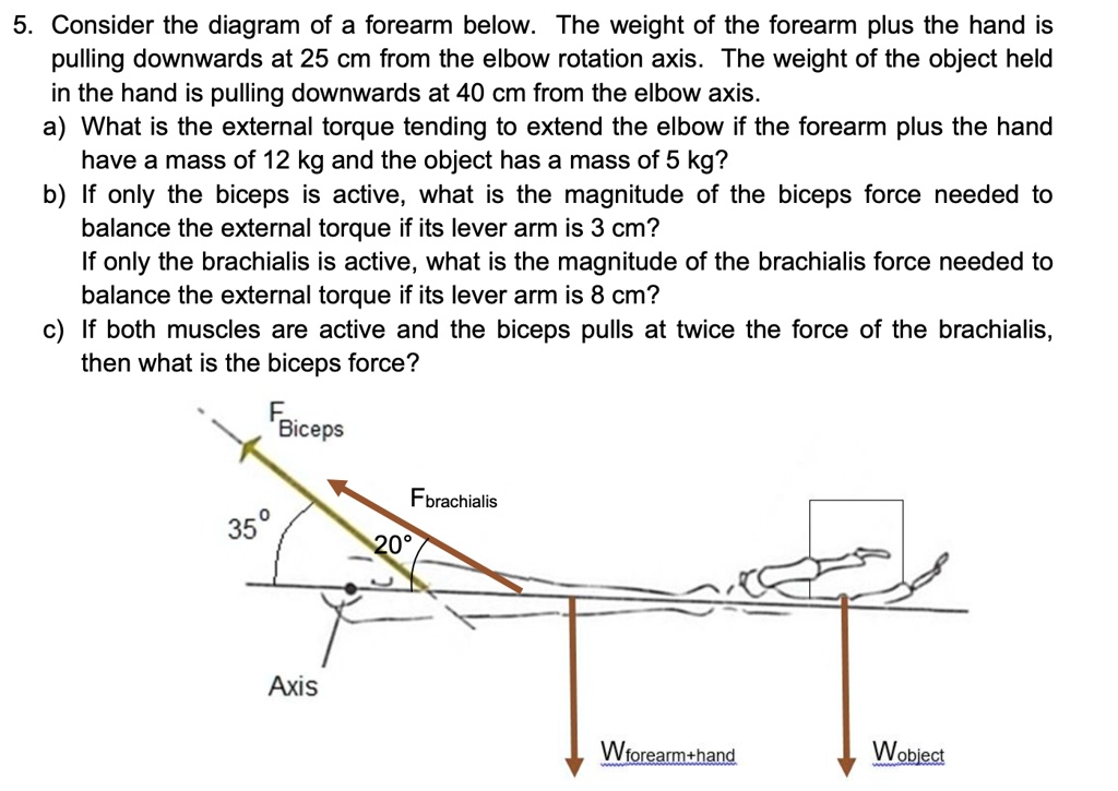 Consider the diagram of a forearm below. The weight of the forearm plus ...