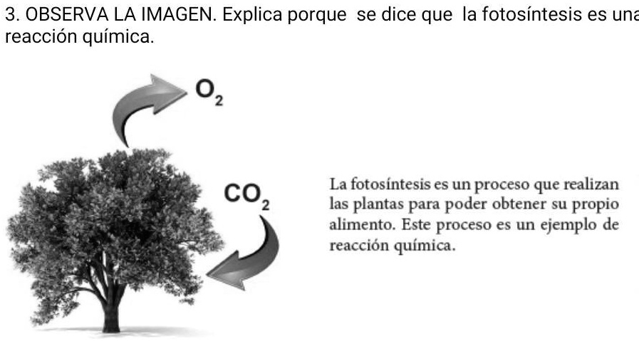 Solved Porque Se Dice Que Fotos Ntesis Es Una Reacci N Qu Mica Ayuda Observa La Imagen