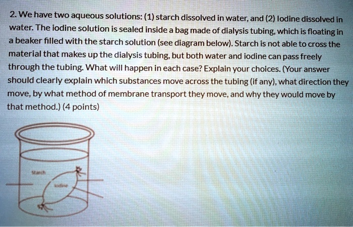 2. We have two aqueous solutions: (1) starch dissolved in water, and (2) Iodine dissolved in
water. The iodine solution is sealed inside a bag made of dialysis tubing, which is floating in
a beaker filled with the starch solution (see diagram below). Starch is not able to cross the
material that makes up the dialysis tubing, but both water and iodine can pass freely
through the tubing. What will happen in each case? Explain your choices. (Your answer
should clearly explain which substances move across the tubing (if any), what direction they
move, by what method of membrane transport they move, and why they would move by
that method.) (4 points)