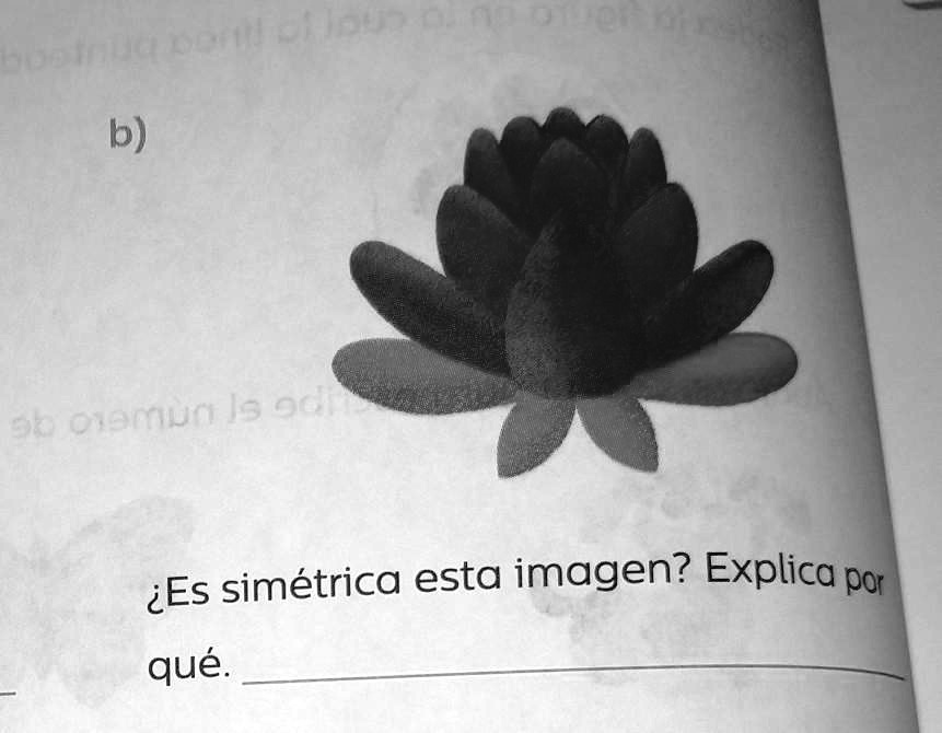 SOLVED: 1. Analiza las imágenes y responde. b) a) que ¿Es simétrica ...