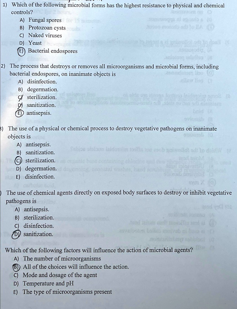 SOLVED: 1) Which of the following microbial forms has the highest ...