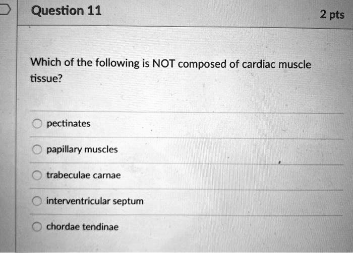 Which of the following is NOT composed of cardiac muscle
tissue?

pectinates
papillary muscles
trabeculae carnae
interventricular septum
chordae tendinae
