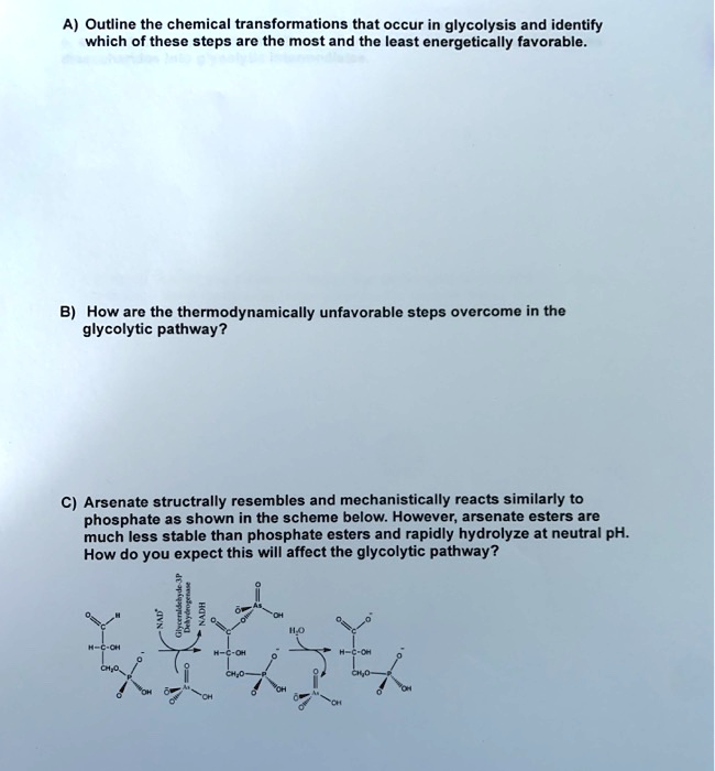 A) Outline the chemical transformations that occur in glycolysis and identify which of these steps are the most and the least energetically favorable.

B) How are the thermodynamically unfavorable steps overcome in the glycolytic pathway?

C) Arsenate structurally resembles and mechanistically reacts similarly to phosphate as shown in the scheme below. However, arsenate esters are much less stable than phosphate esters and rapidly hydrolyze at neutral pH. How do you expect this will affect the glycolytic pathway?
