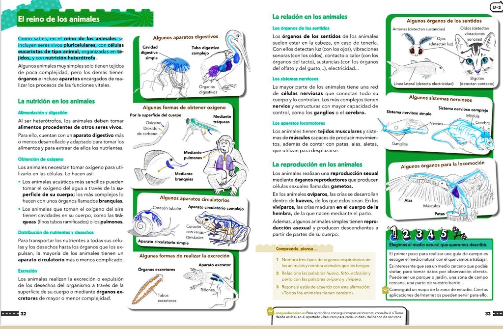 SOLVED: Hola, si alguien me puede hacer un mapa mental de las funciones  vitales de los animales, les dejo las pag de las funciones vitales y como  es un mapa mental, ayudenme