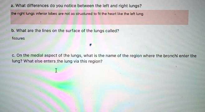SOLVED: a. What differences do you notice between the left and right ...