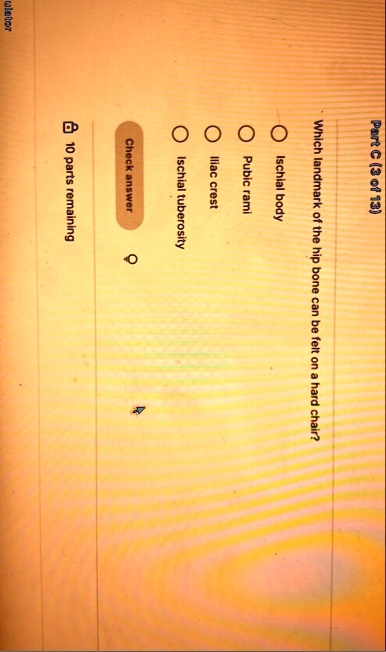 part c 3 of 13 which landmark of the hip bone can be felt on a hard chair ischial body pubic rami iliac crest ischial tuberosity check answer 10 parts remaining 85068