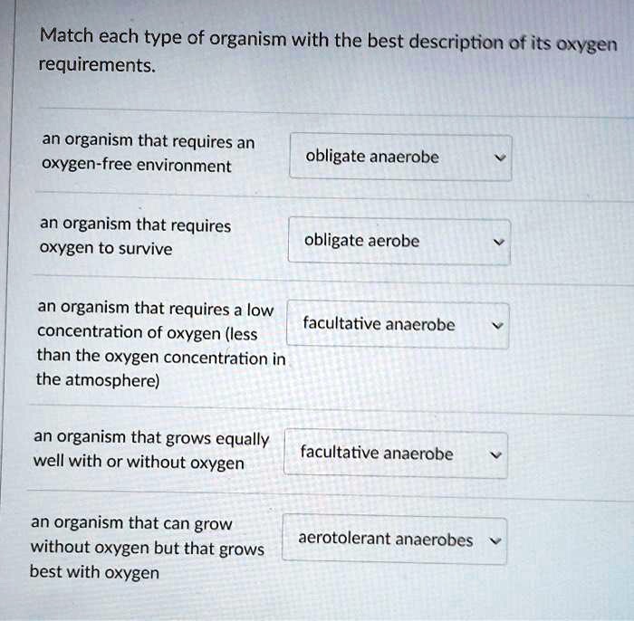 Match each type of organism with the best description of its oxygen requirements.

an organism that requires an oxygen-free environment: obligate anaerobe

an organism that requires oxygen to survive: obligate aerobe

an organism that requires a low concentration of oxygen (less than the oxygen concentration in the atmosphere): facultative anaerobe

an organism that grows equally well with or without oxygen: facultative anaerobe

an organism that can grow without oxygen but that grows best with oxygen: aerotolerant anaerobes