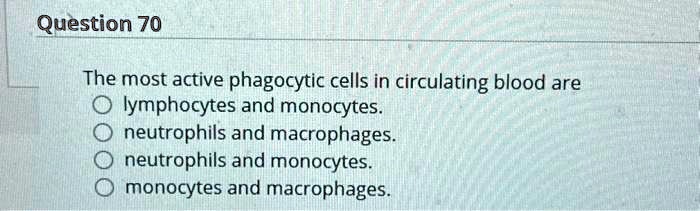 The most active phagocytic cells in circulating blood are
lymphocytes and monocytes.
neutrophils and macrophages.
neutrophils and monocytes.
monocytes and macrophages.