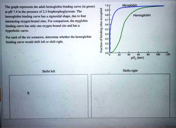 Solved The graph represents the adult hemoglobin binding