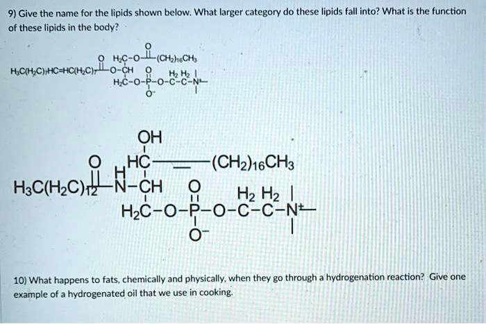 9) Give the name for the lipids shown below. What larger category do these lipids fall into? What is the function of these lipids in the body?

O H2C-O-C-(CH2)16CH3
H3C(H2C)7HC=HC(H2C)7-C-O-CH O H2 H2
H2C-O-P-O-C-C-N+
O-

OH
HC—(CH2)16CH3
H3C(H2C)12-C-N-CH O H2 H2
H2C-O-P-O-C-C-N+
O-

10) What happens to fats, chemically and physically, when they go through a hydrogenation reaction? Give one example of a hydrogenated oil that we use in cooking.