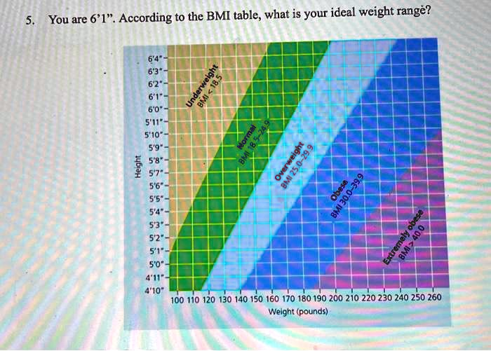 SOLVED: You are 6'1