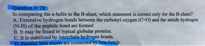 In comparing the a-helix to the B-sheet, which statement is correct only for the B-sheet?
A. Extensive hydrogen bonds between the carbonyl oxygen (C=O) and the amide hydrogen (N-H) of the peptide bond are formed
B. It may be found in typical globular proteins.
C. It is stabilized by interchain hydrogen bonds.
D. Parallel beta sheets are connected by beta bends.