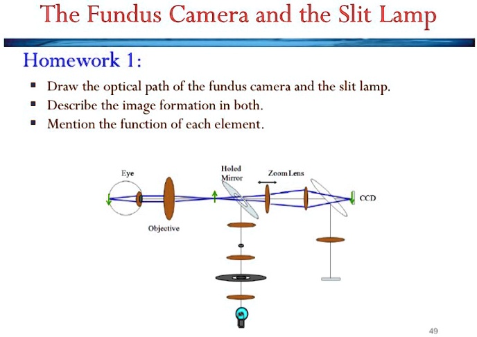The Fundus Camera and the Slit Lamp Homework 1: • Draw the optical path ...