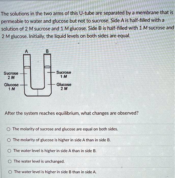 the solutions in the two arms of this u tube are separated by a