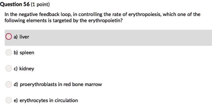 In the negative feedback loop, in controlling the rate of erythropoiesis, which one of the following elements is targeted by the erythropoietin?

a) liver
b) spleen
c) kidney
d) proerythroblasts in red bone marrow
e) erythrocytes in circulation