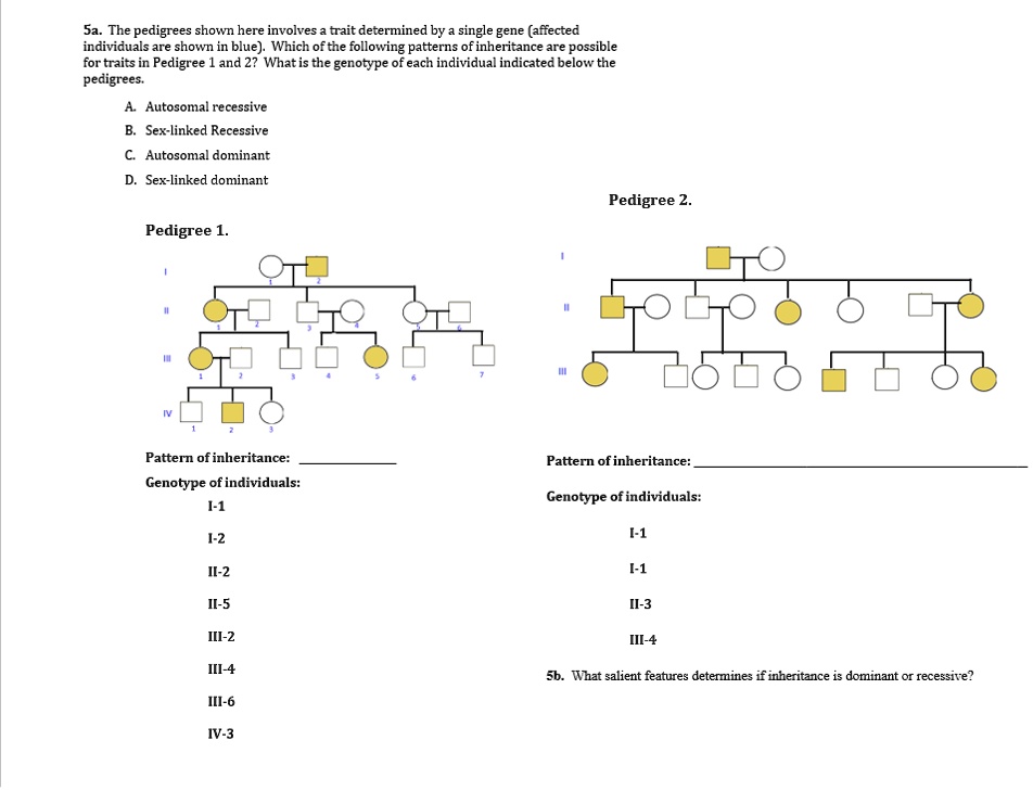 Solved The Pedigrees Shown Here Involve A Trait Determined By A Single Gene Affected 8271