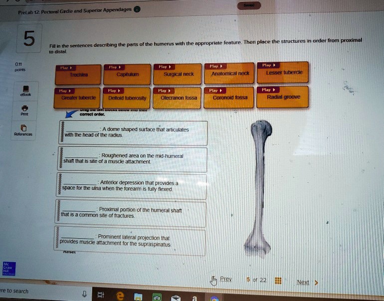 SOLVED Text Fill in the sentence describing the parts of the humerus