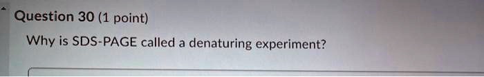 Question 30 (1 point)
Why is SDS-PAGE called a denaturing experiment?