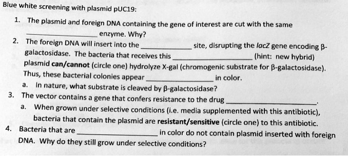 Blue white screening with plasmid pUC19:
1. The plasmid and foreign DNA containing the gene of interest are cut with the same
 enzyme. Why?
2. The foreign DNA will insert into the  site, disrupting the lacZ gene encoding ?-
galactosidase. The bacteria that receives this  (hint: new hybrid)
plasmid can/cannot (circle one) hydrolyze X-gal (chromogenic substrate for ?-galactosidase).
Thus, these bacterial colonies appear  in color.
a. In nature, what substrate is cleaved by ?-galactosidase?
3. The vector contains a gene that confers resistance to the drug .
a. When grown under selective conditions (i.e. media supplemented with this antibiotic),
bacteria that contain the plasmid are resistant/sensitive (circle one) to this antibiotic.
4. Bacteria that are  in color do not contain plasmid inserted with foreign
DNA. Why do they still grow under selective conditions?