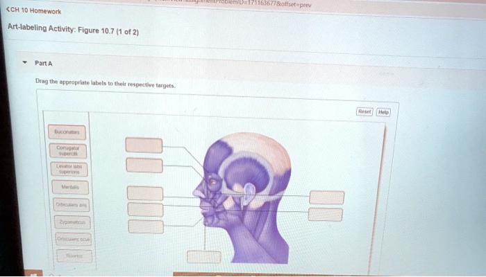 SOLVED: CH 10 Homework Art-labeling Activity Figure 10.71 of 2 Part A ...